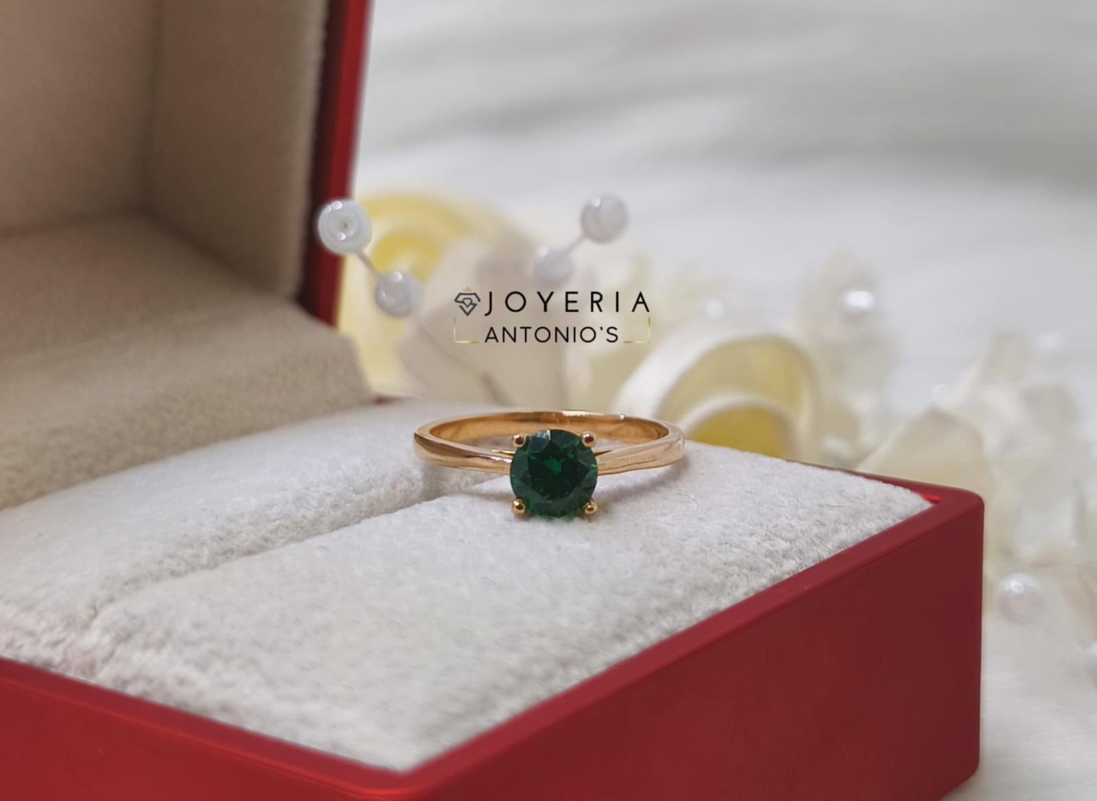 WhatsApp Image 2025-07-15 at 6.16.43 PM (1)