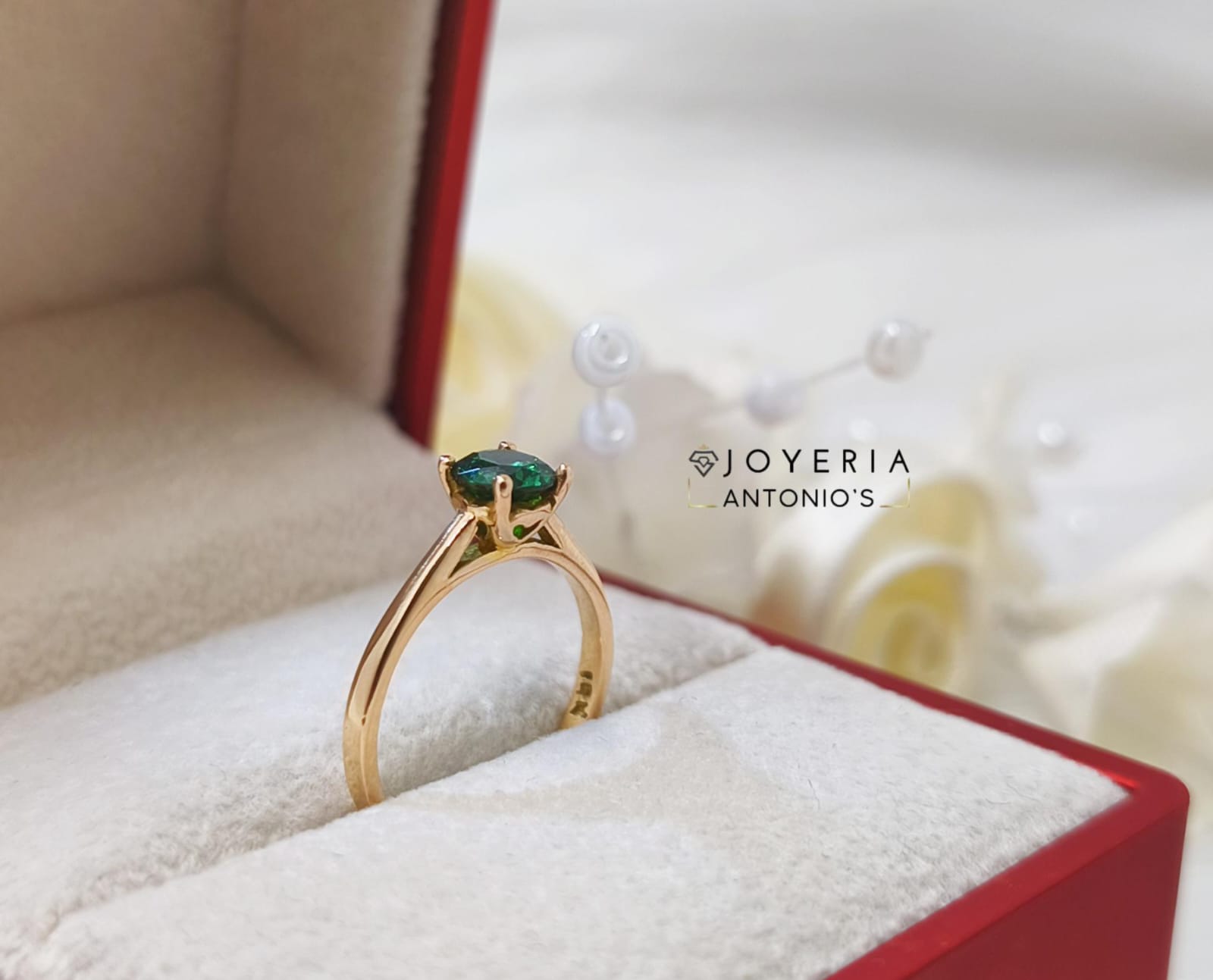 WhatsApp Image 2025-07-15 at 6.16.43 PM (2)