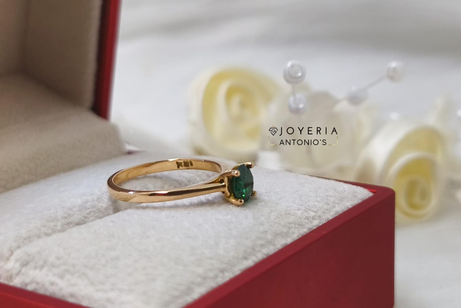 WhatsApp Image 2025-07-15 at 6.16.43 PM